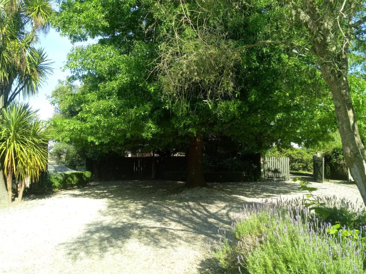 Irongate Retreat Bed and Breakfast Hastings Eksteriør billede